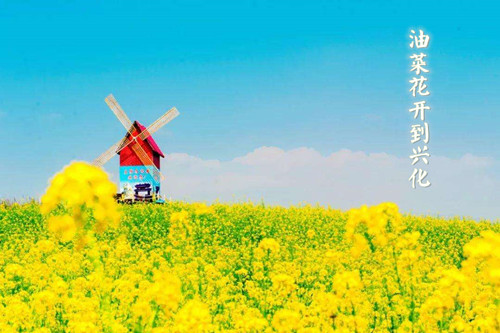 �Ͳ˻������˻�