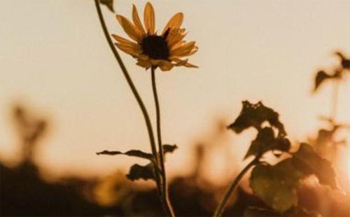 ��İ��飬�����һ��