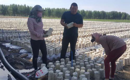 ���ɹŴ�ѧ����ٰ�ͼ����