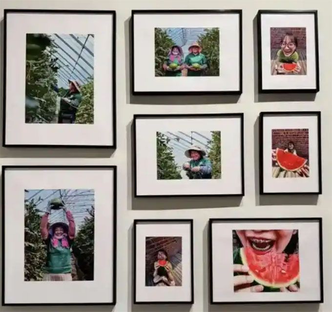 798��������ӭ���ر�չ������ѧ���þ�ͷ����������