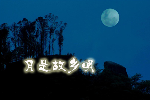 ���ǹ�����