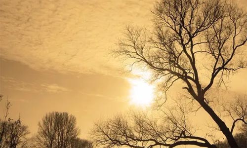 Щ������