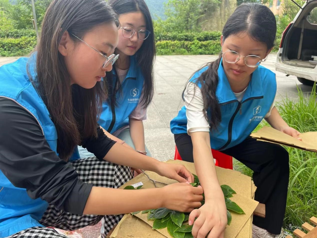 ����ʦ����ѧ������ѧѧԺ����С�࣬ɭС�̡�֮������캽��̬��ʵ�������ſ�չϵ�л������ֲ��걾����