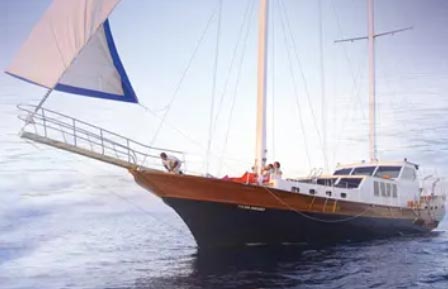 ��ת�İ���