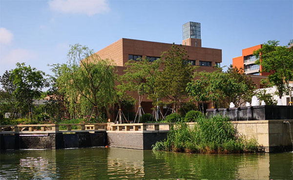 ɽ��������ѧ��ҵ�ʼ���ҵǰ����ô��