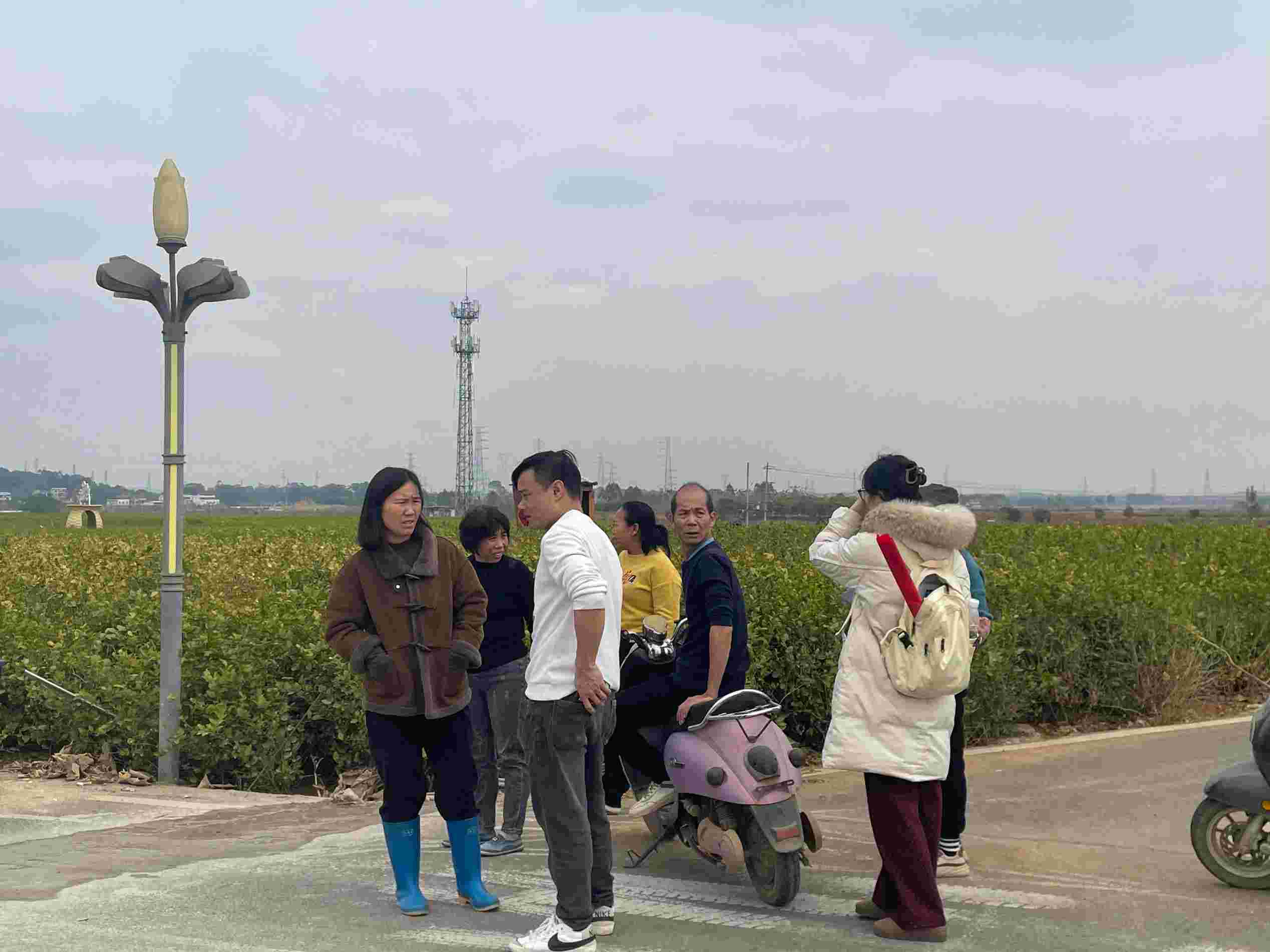 ʦѧСŶӣָ㣬ũҵչƪ