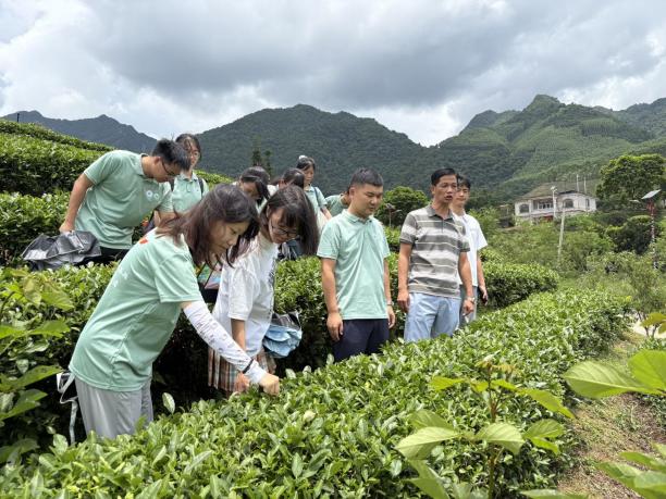 �ι�ȵ������԰���˽���ҵ��չ