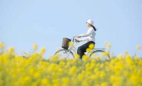 ��һ�ָ��������Ե����һ�ַ���������ȫ