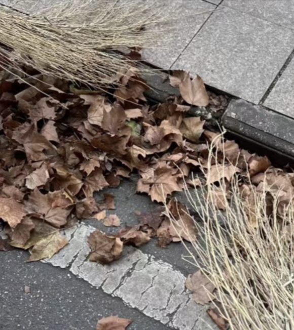 �ഺ��ҫ��Ϊ�������ʡ�������������ɨ����