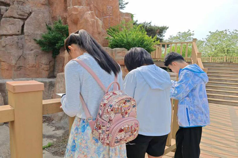 ��е�ȷ桤��������ʵ���ŵ��н��ա����������÷�չ�»���