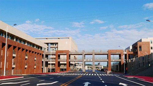 �Ĵ���ҽҩ�ߵ�ר��ѧУ��ҵ�ʼ���ҵǰ����ô��