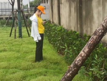 ����Ȼ֮��������̬����