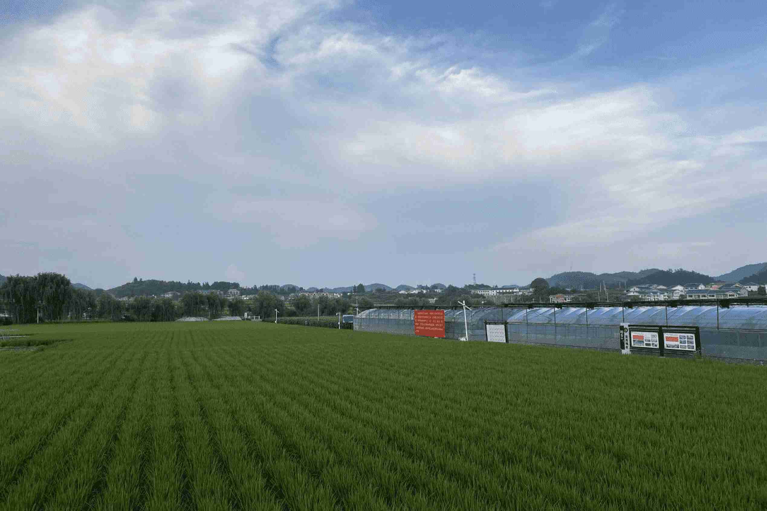 ����ѧ�������磺�߽���ï�壬ʵ�ظ���������˷�չ