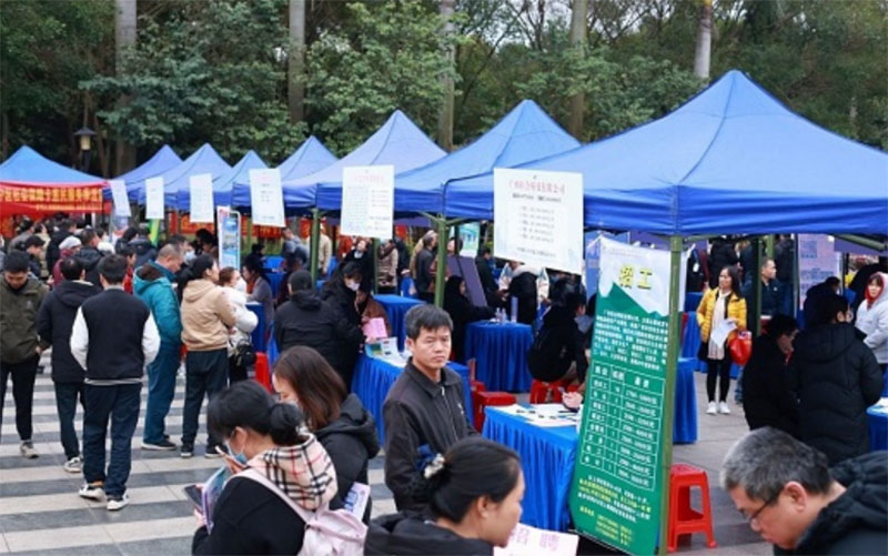 ��Ϣ���˳��µ�·�����������ʵ��̽��