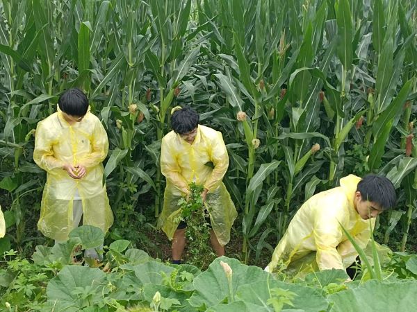 ����ũ���Ļ����ٽ�������