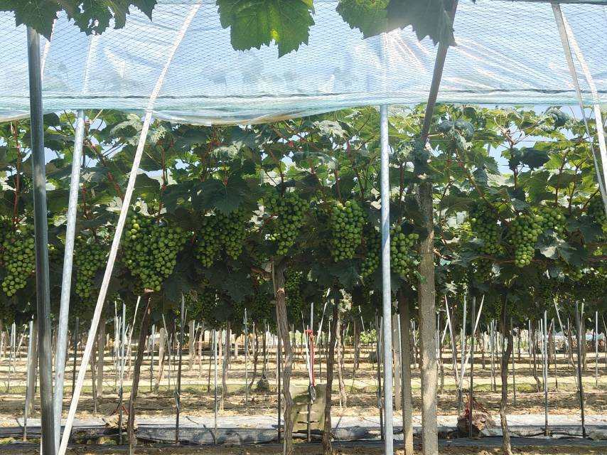 Ѱ�����ѳ��ȣ�̽����չ��;