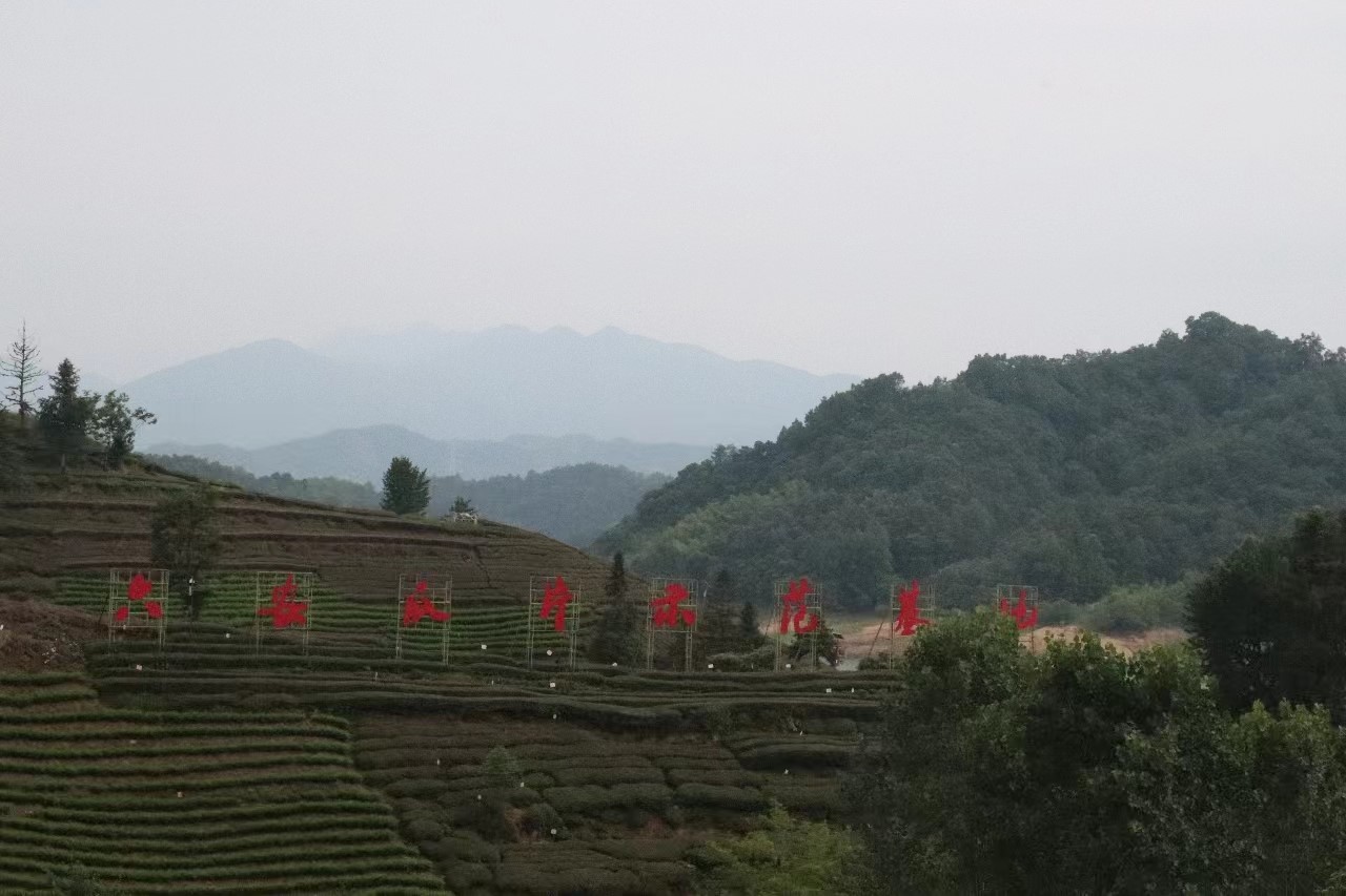 �����س�������������������ƪ��