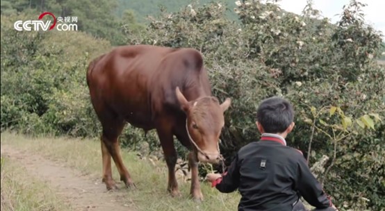 ��������㣬ɽͷ������ ������ĸ����񹤶����ض�ͯ��Ӱ��