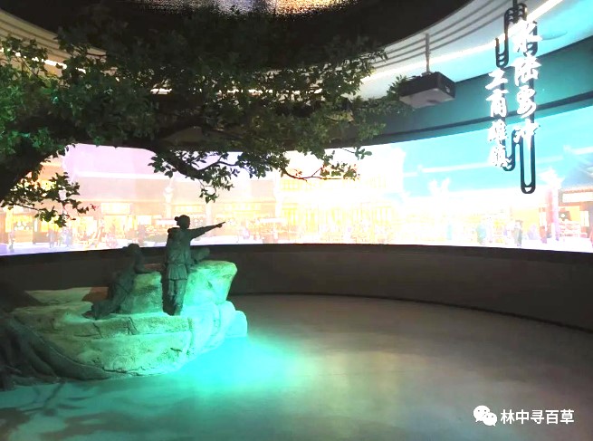 ����Ѱ�ٲ� | ����ʵ����ʽ��ʼ