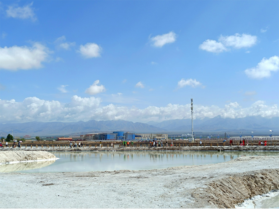 �����̬��������̬���η�չ�������