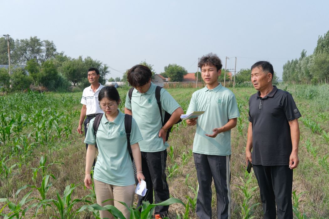 ũѧԺ�����μ�ũҵ������ʳ��ȫʵ��������ǰ��������������ѧϰ