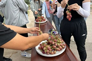 �����ƿ��������ഺ��֮һ��