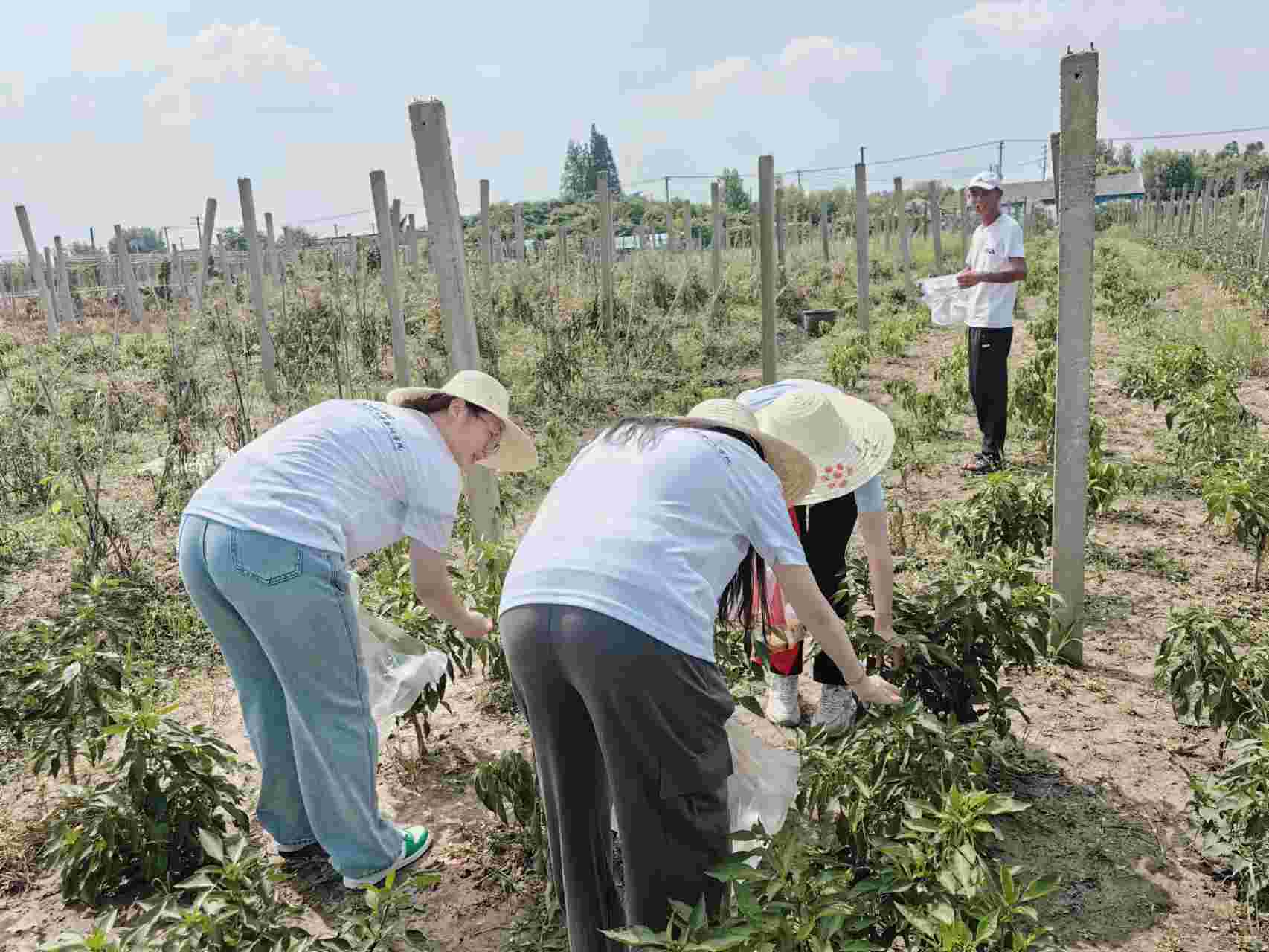 ��ʦ̩Ժѧ�������磺�ǻ�����������ˣ���ͬ������ɫδ��