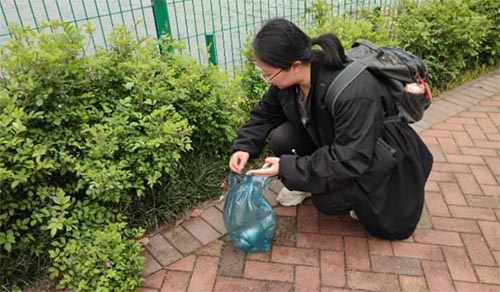 �ʻ�ѧԺ����2103��֧���ٰ조���������ǣ��������ж���ɭ�ֹ�԰