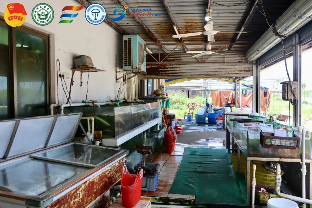 ��������e��ͻ���ӵ����շ��У��ʾ��������������