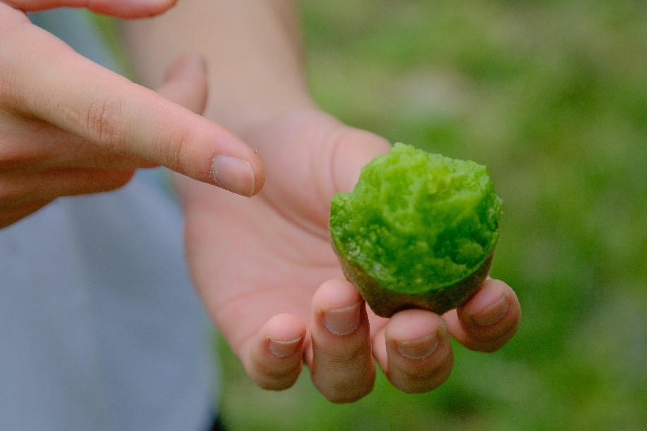 ɽ��������ѧ����С�ࡱʵ���Ųι�ԴȪ��⨺����ǻ�԰��