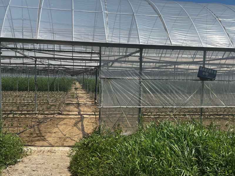 �ǻ�ũҵ����������ˣ��߲˻��ص��м�ʵ