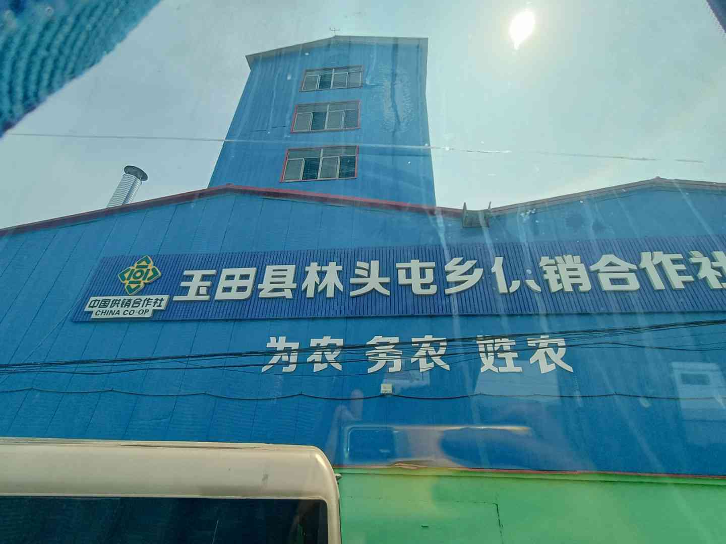 �Ӵ�ѧ��������|�����ഺ�����������������