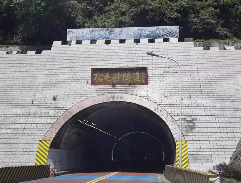 ���׳���������� ��Ѫ������������