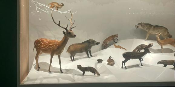 ��̩ѧ�������磺������У������ִ��������߽��������˺�������̬��԰���й����˺Ӳ����