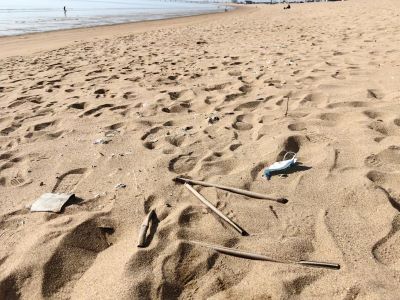 ɽ����ѧ����ɳ������������ʵ�ص�������չ