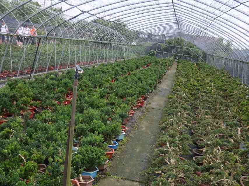 �������������ͬ��ԣ ������ѧ�ഺԣũ���߽����Ǵ�̽Ѱ����·