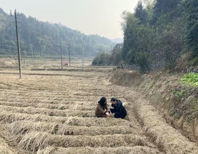 ɽ����ѧ������������������ũ����̼��·�ȷ�������ڽ�ƺ�弯��