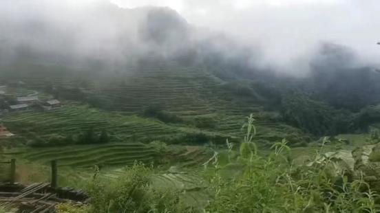 ��ζ������֮�壺���