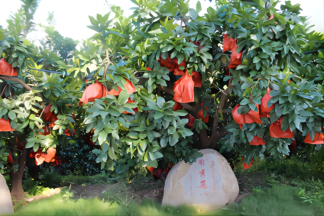 �������Ž�������ҽ�ƴ�ѧʵ����Я�ֵ�֧�����硱Լƽ��