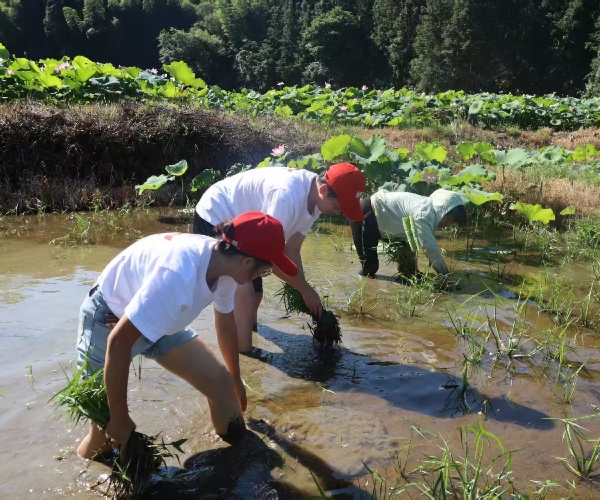 ���������� �����Ͷ������Ͻ�ѧ��������ʵ�����������ִ�ũ��