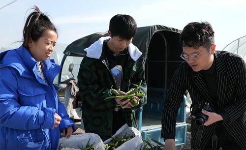 ���ӵĻ�����������ȼ