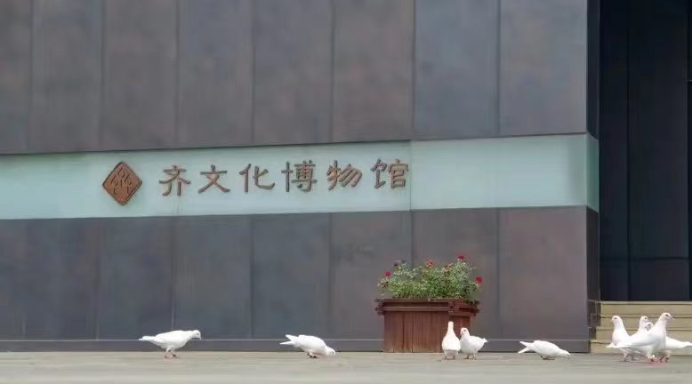 �����Ļ����磬�����Ļ�����