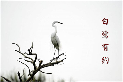 ������Լ