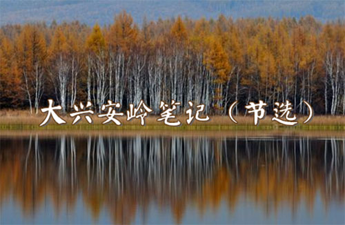 ���˰���ʼ�