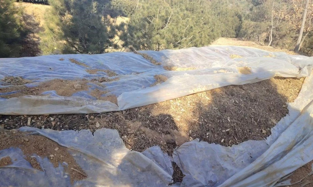 ��һҶ�衱��̽Ѱ�����̲��·�չ