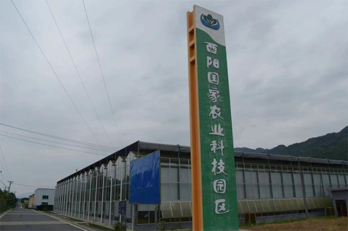 ����Ժ���ꡰ�����硱��һƬ�Ͳ������̾�����·