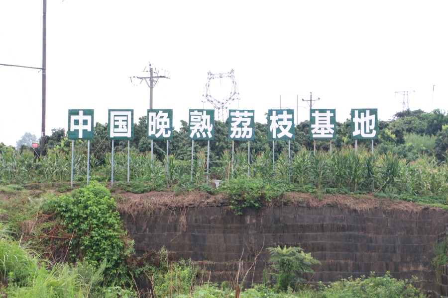 ���ֲ�ժ�ϣ�������ҵ��