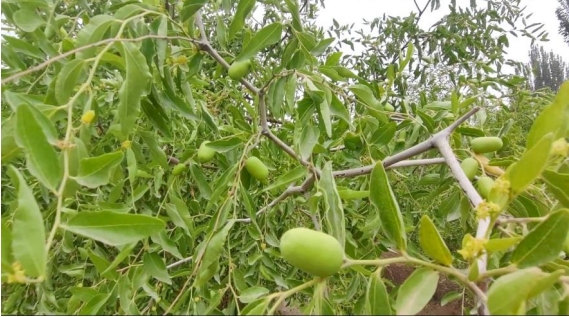 �ú�������ת��Դ������������˶���