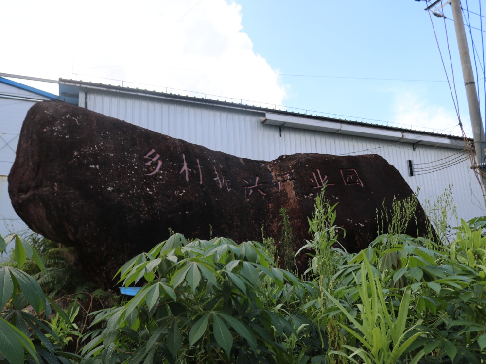 ����֮�ϻ����Σ���ҵ����չ�۷�