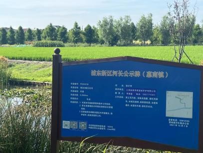 �ϲ�ѧ������������ʵ������ӳ�ˮ�尶�̾���